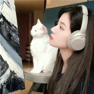 如风如云