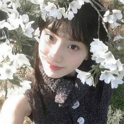 欢迎来到丛林